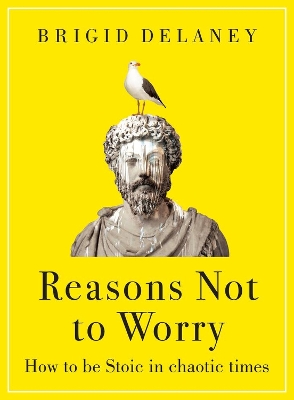 REASONS NOT TO WORRY : HOW TO BE STOIC IN CHAOTIC TIMES PB