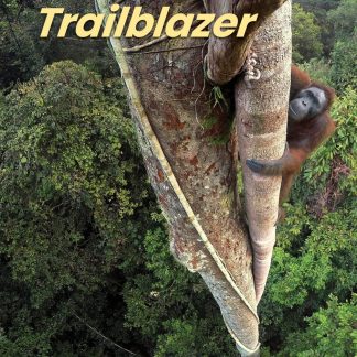 TRAILBLAZER 1 SB ( + SPARK)