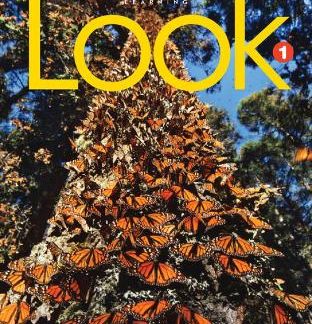LOOK 1 SB ( + SPARK) BRIT. ED