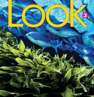 LOOK 3 SB ( + SPARK) BRIT. ED