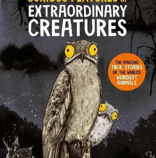 CURIOUS FEATURES OF EXTRAORDINARY C