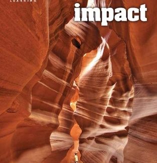 IMPACT FOUNDATION SB - AMER. ED.