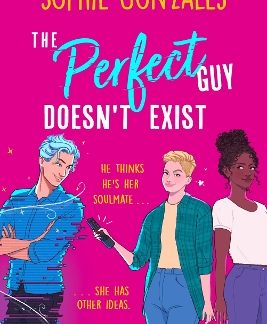 THE PERFECT GUY DOESN'T EXIST PB