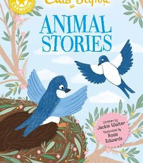 READING CHAMPION: ENID BLYTON ANIMAL STORIES: LIGHTWING LEARNS TO FLY PB