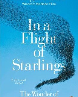 PENGUIN ORANGE SPINES : IN A FLIGHT OF STARLINGS PB