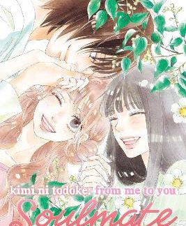 KIMI NI TODOKE: SOULMATE V3 PA