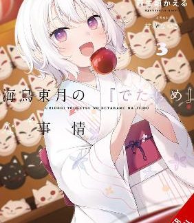 THE BS SITUATION OF TOUGETSU UMIDORI, VOL. 3 (LIGHT NOVEL)