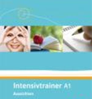 AUSSICHTEN 1 A1 INTESIVTRAINER