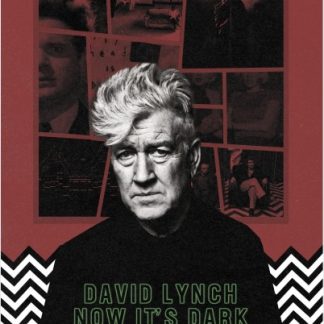 DAVID LYNCH NOW IT'S DARK