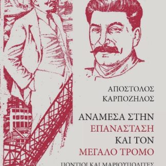 ΑΝΑΜΕΣΑ ΣΤΗΝ ΕΠΑΝΑΣΤΑΣΗ ΚΑΙ ΤΟΝ ΜΕΓΑΛΟ ΤΡΟΜΟ ΠΟΝΤΙΟΙ ΚΑΙ ΜΑΡΙΟΥΠΟΛΙΤΕΣ ΣΤΗΝ ΣΟΒΙΕΤΙΚΗ ΕΝΩΣΗ (1917-1938)