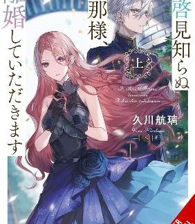 TO SIR, WITHOUT LOVE: I'M DIVORCING YOU, VOL. 1 - PART 1 (LIGHT NOVEL)