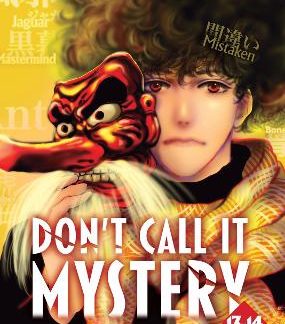DON'T CALL IT MYSTERY VOL. 13-14