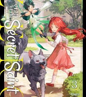 TALE OF THE SECRET SAINT ZERO VOL 3 LIGHT